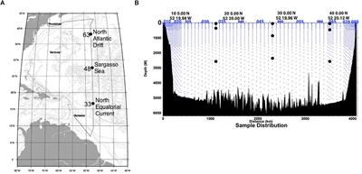 Bacterial and Archaeal Specific-Predation in the North Atlantic Basin